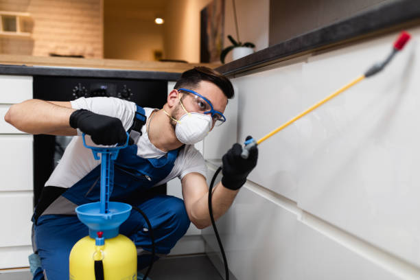 Reliable Wolcott, IN Pest Control Solutions