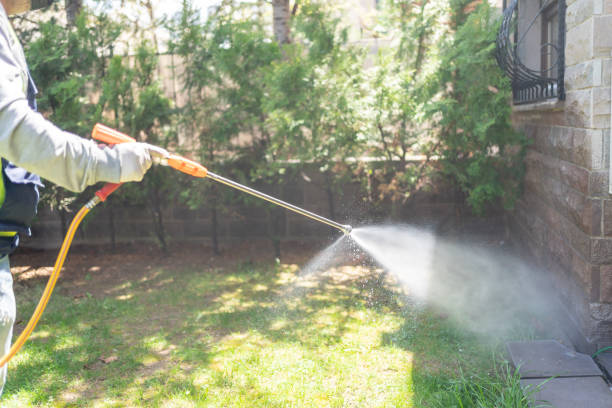 Best Insect Control  in Wolcott, IN