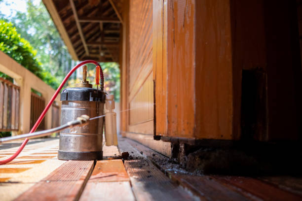 Best Pest Removal Services  in Wolcott, IN