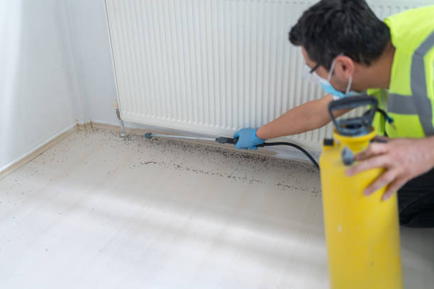 Best Pest Prevention Services  in Wolcott, IN