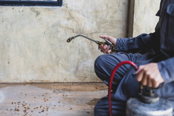 Best Termite Control Services  in Wolcott, IN